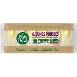 Endives jeunes pousses (x6)