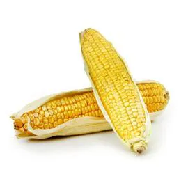 Maïs doux (400g)