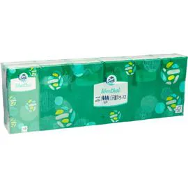 CARREFOUR SOFT Mouchoirs menthol 4 plis 12x9 