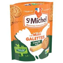 ST MICHEL Mini galette comté 100g