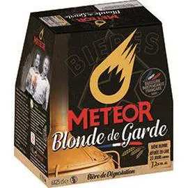 Bière Blonde de Garde 7,2° (6x25cl)
