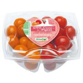 Tomates cerises DUO (250g)