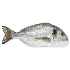 Daurade royale vidée et écaillée (600g)