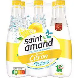 Eau minérale naturelle pétillante saveur citron (6x50cl)