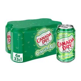 Soda Ginger Ale (6x33cl)