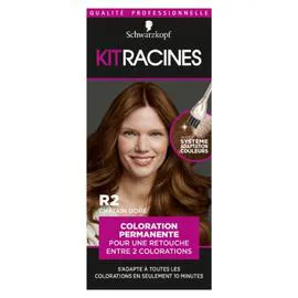 Kit racines Châtain doré R2 (l'unité)