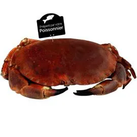 Tourteau cuit (600g)