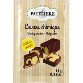 Levure chimique (6x11g)