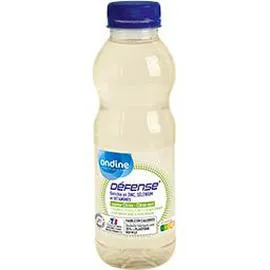 Boisson Défense saveur citron-citron vert (50cl)