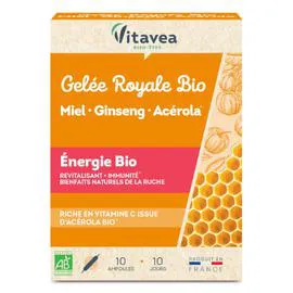 Complément alimentaire gelée royale Bio (x10)