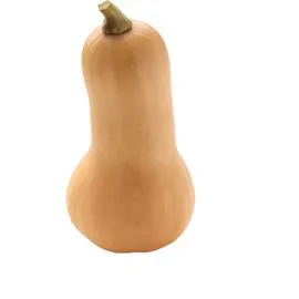 Butternut 1 pièce (l'unité)