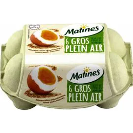 Oeufs région Poules élevées en plein air x6 (x6)