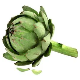 Artichaut Blanc Bio (l'unité)