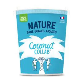 THE COCONUT Dessert végétal au lait de coco nature 350g