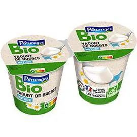 Yaourt de brebis nature BIO (2x125g)