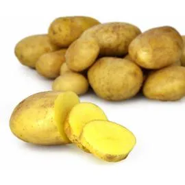 Pommes de terre primeur Délicatesse (750g)
