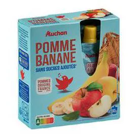 Gourdes pomme banane sans sucres ajoutés sans conservateur (4x90g)