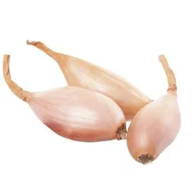 Echalotes demi-longues issues de semis (350g)