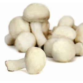 Champignons blancs (500g)