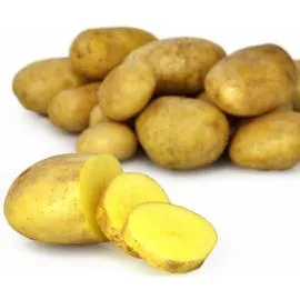 Pommes de terre de consommation Bio Monalisa (1,5kg)