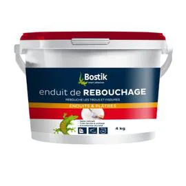 Enduit de rebouchage pâte (4kg)