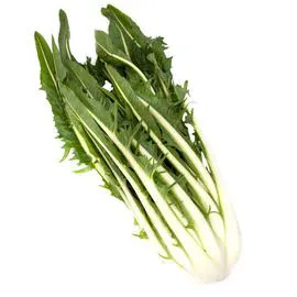 Puntarelle (750g)