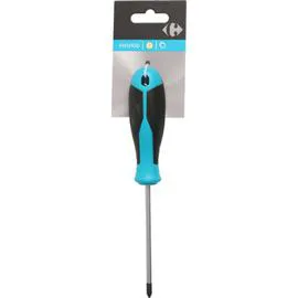 Tournevis 1 x 100 mm (l'unité)