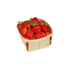 Fraises panier (500g)