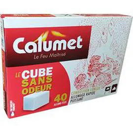 Allume feu rapide sans odeur (272g)