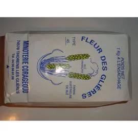 Farine de blé T45 (1kg)