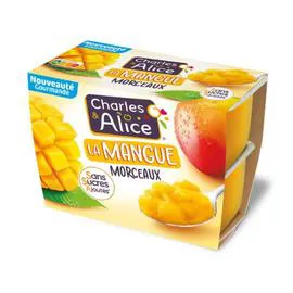Compote Mangue Morceaux Sans Sucres Ajoutés (4x95g)