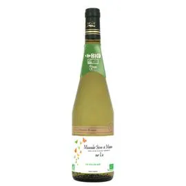 Vin Blanc Val de Loire AOP Muscadet Sèvre et Maine sur Lie Bio (75cl)