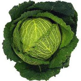 Chou VERT FRISE (l'unité)