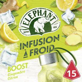 THÉ ÉLÉPHANT Infusion à Froid boost 34g