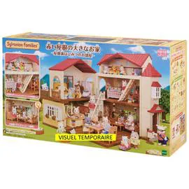 Coffret La grande maison éclairée et sa pièce secrète (l'unité)