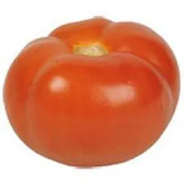 Tomate ronde à farcir (l'unité)