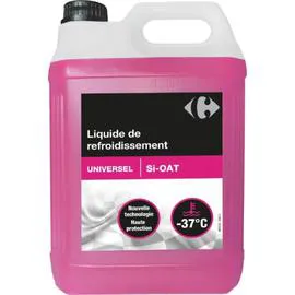 Liquide de refroidissement (5l)