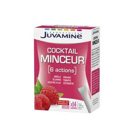 Sticks 4 actions minceur (14x3,3g)