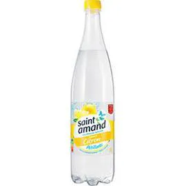 Eau minérale naturelle pétillante citron sans sucre (1l)