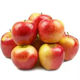 Pommes Reine des Reinettes (x7)
