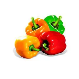  Poivrons Mixte Bio 500g