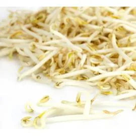 Pousse de soja haricot Mungo (200g)