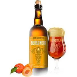 Bière mirabelle (750ml)