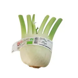 Fenouil Bio l'unité