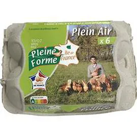 Oeufs plein air calibre moyen-gros (x6)