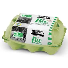 Oeufs Bio plein air (x6)