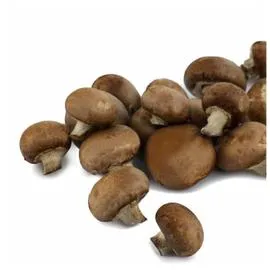 Champignon brun Bio (200g)