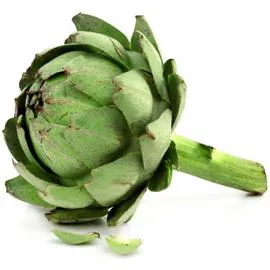 Artichaut blanc bio (l'unité)