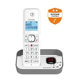 Téléphone fixe sans fil avec répondeur Solo F860 Voice - Gris (l'unité)