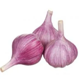 MONOPRIX AIL VIOLET 3 TETES x3